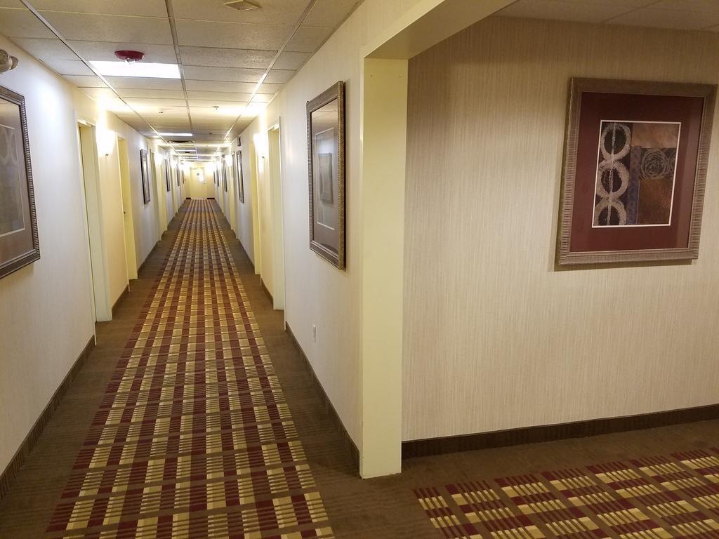 Days Inn By Wyndham Windsor Locks / Bradley Intl Airport מראה חיצוני תמונה